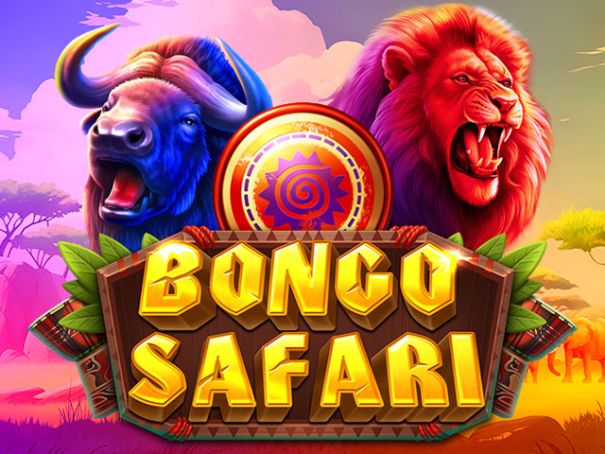 Bongo Safari