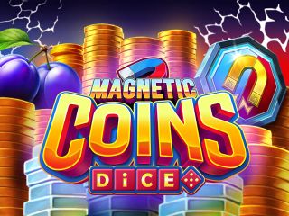 Magnetic Coins Dice