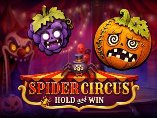 Spider Circus Hold and Win