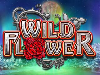 Wild Flower