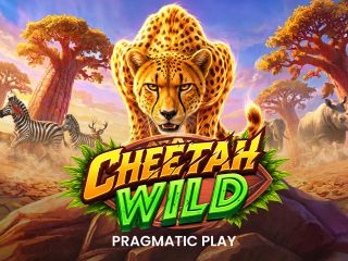 Cheetah Wild