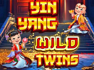 Yin Yang Wild Twins