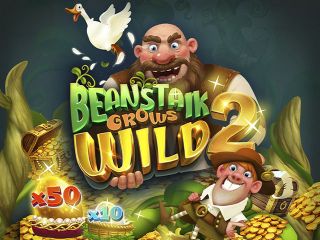 Beanstalk Grows Wild 2