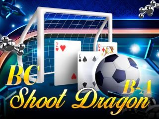 BC Shoot DragonB-A
