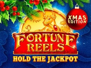 Fortune Reels Xmas